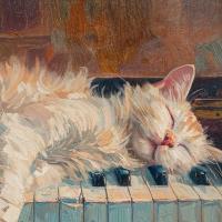 ✧ بوم زنـבگے ✧